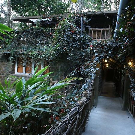 Greenspaces B&B Munnar Kültér fotó