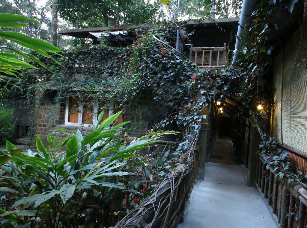 Greenspaces B&B Munnar Kültér fotó