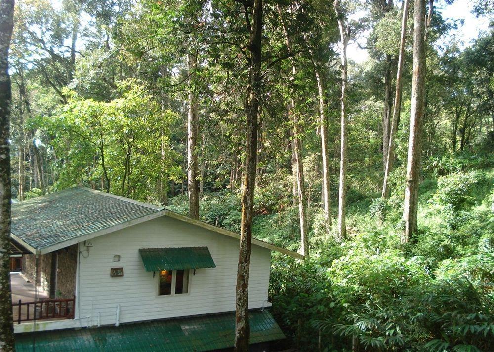 Greenspaces B&B Munnar Kültér fotó