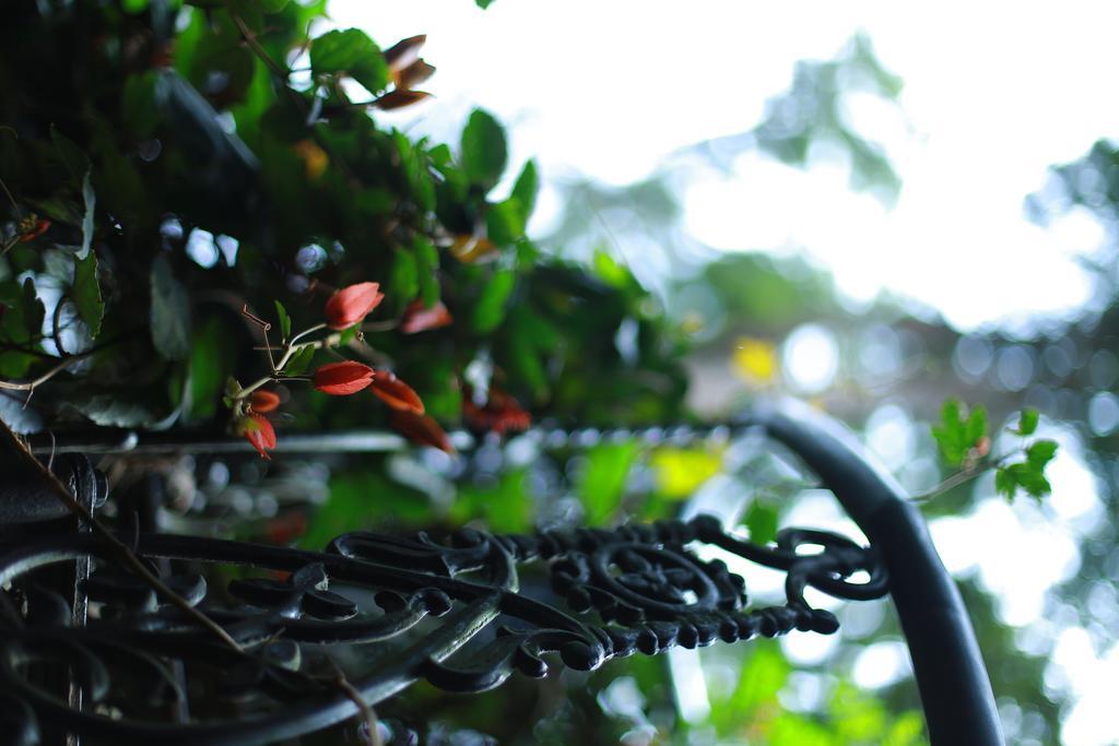 Greenspaces B&B Munnar Kültér fotó