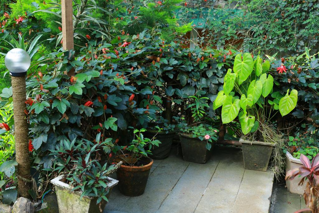 Greenspaces B&B Munnar Kültér fotó