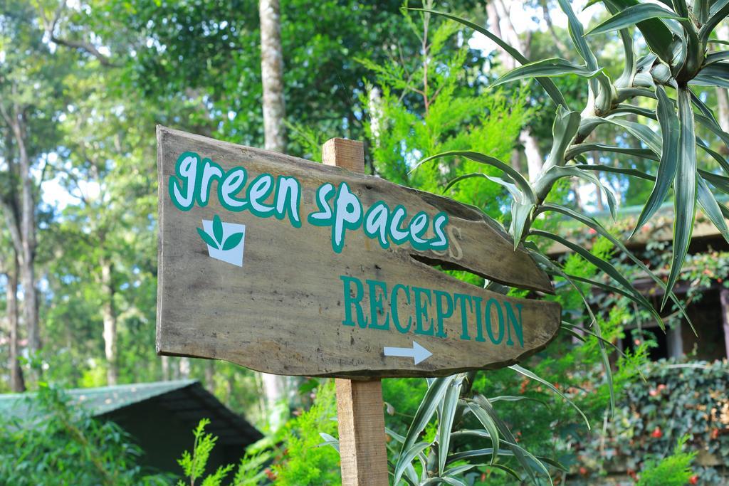 Greenspaces B&B Munnar Kültér fotó