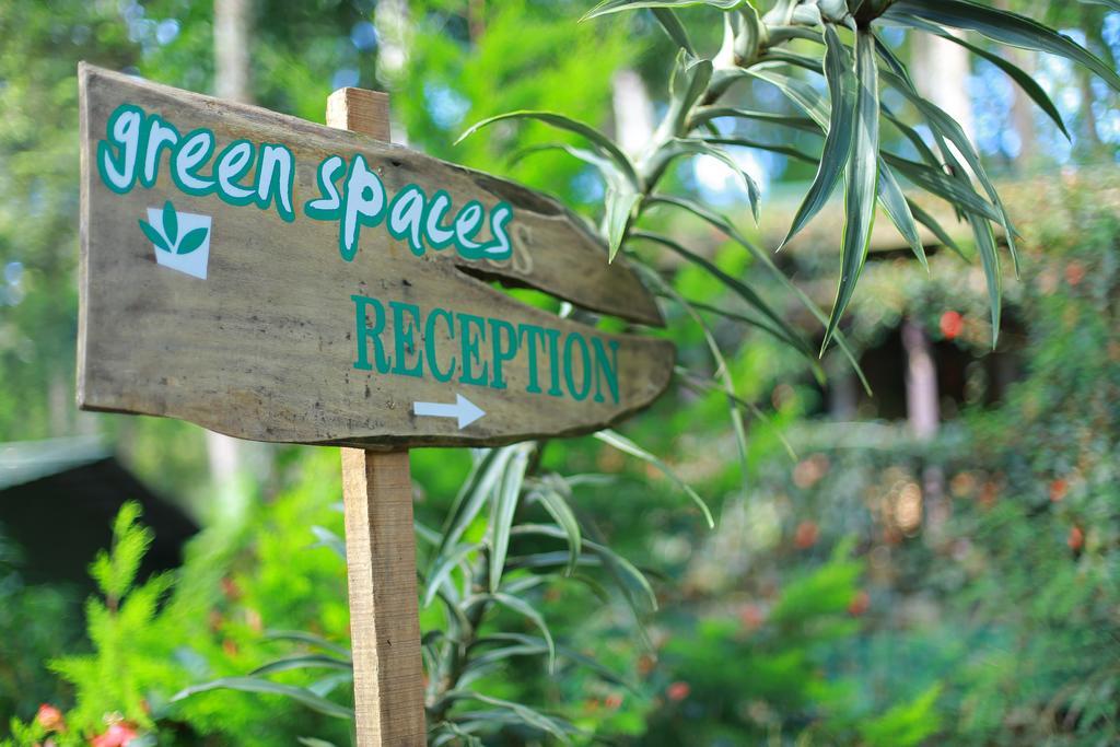 Greenspaces B&B Munnar Kültér fotó