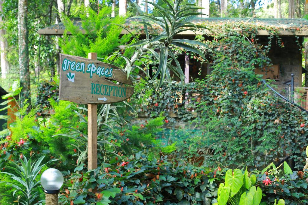 Greenspaces B&B Munnar Kültér fotó