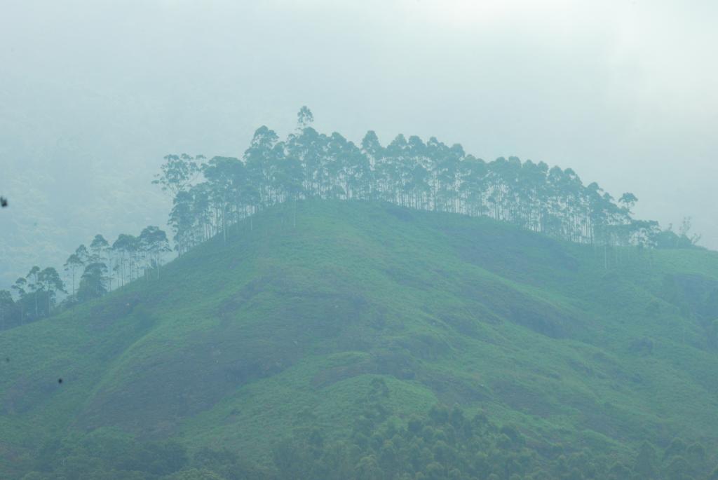 Greenspaces B&B Munnar Kültér fotó