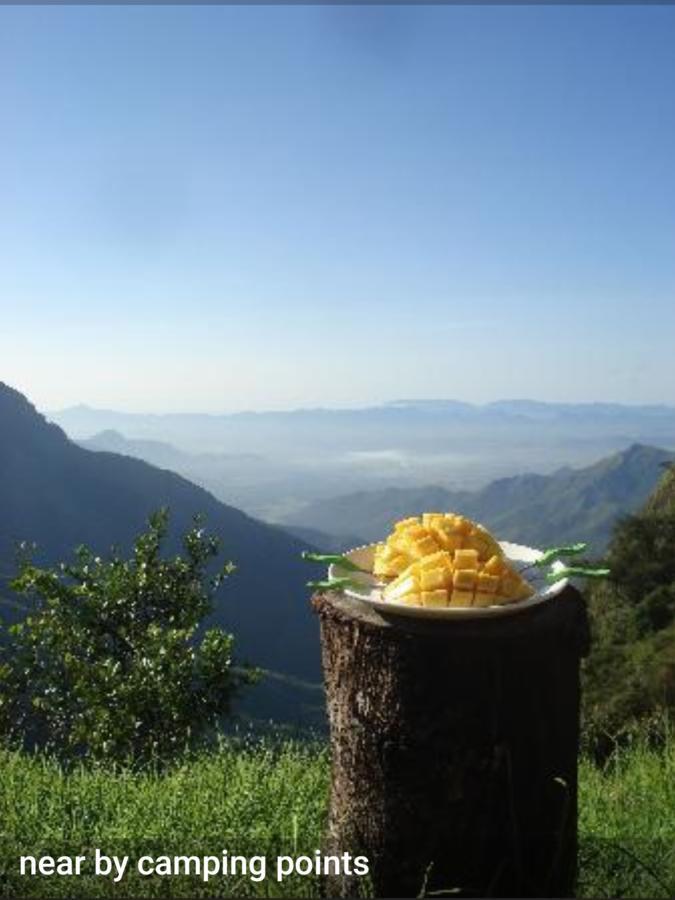 Greenspaces B&B Munnar Kültér fotó
