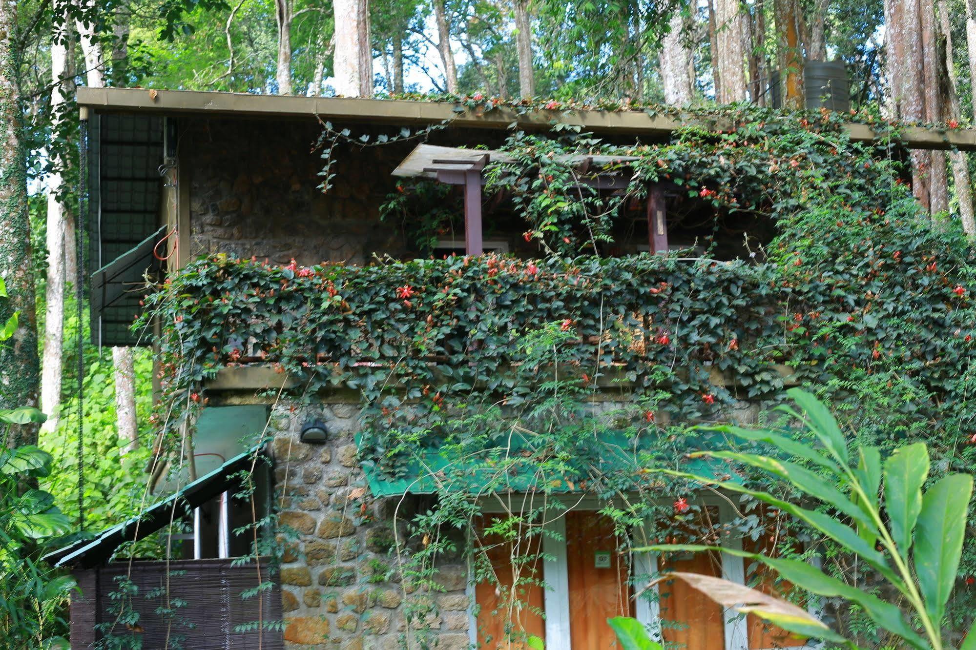 Greenspaces B&B Munnar Kültér fotó